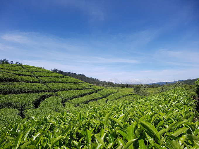 Arena Wisata Mandiri Bandung