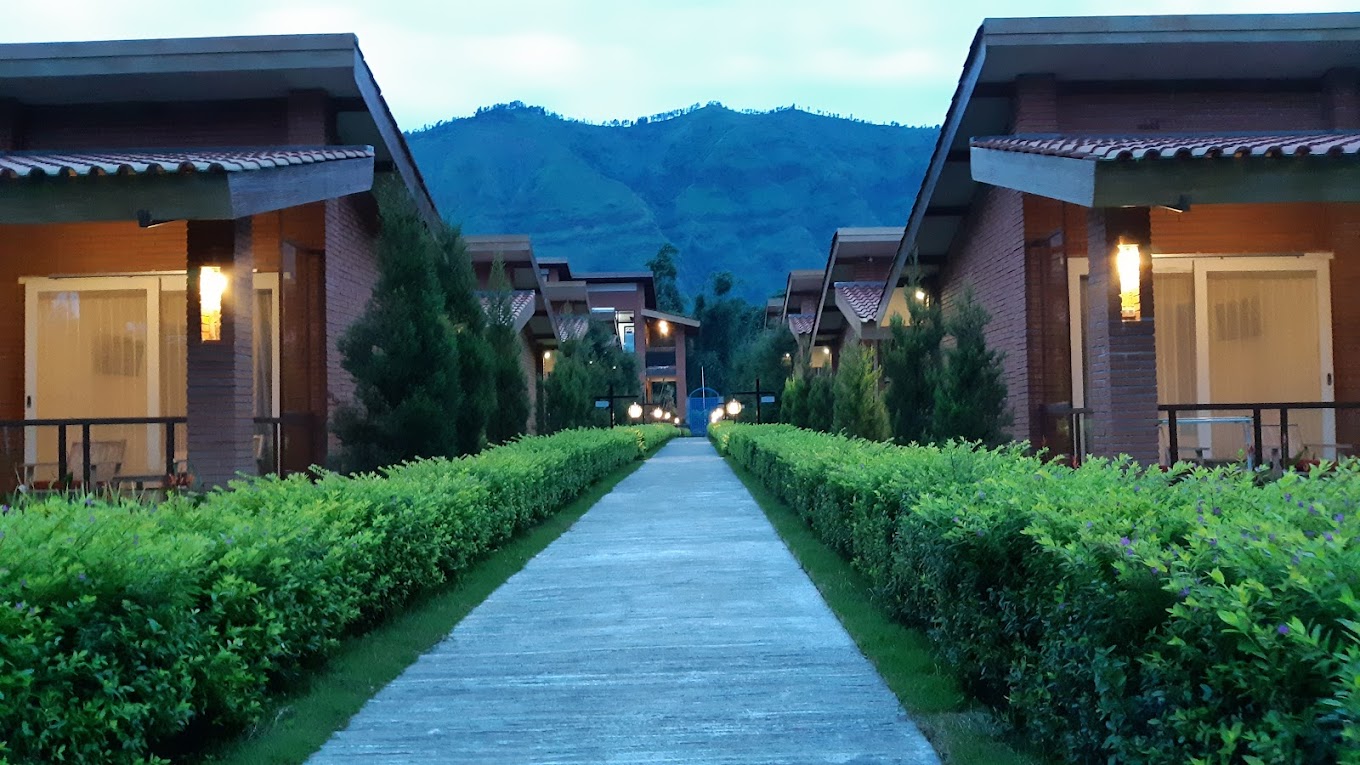 Bromo Terrace Hotel - 8 Hotel Bromo dengan view terbaik