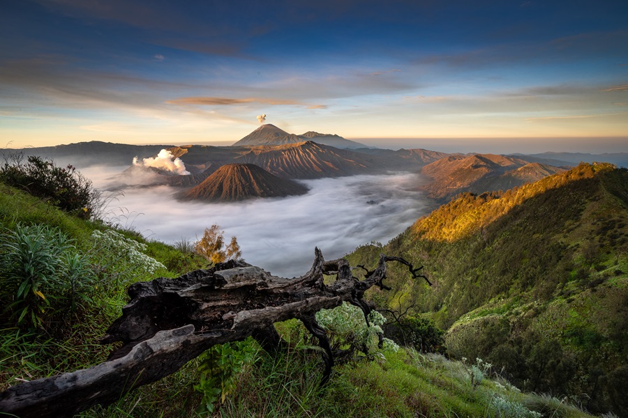 Tips Penting Berwisata ke Bromo, Simak Supaya Liburanmu Tetap Aman dan Nyaman