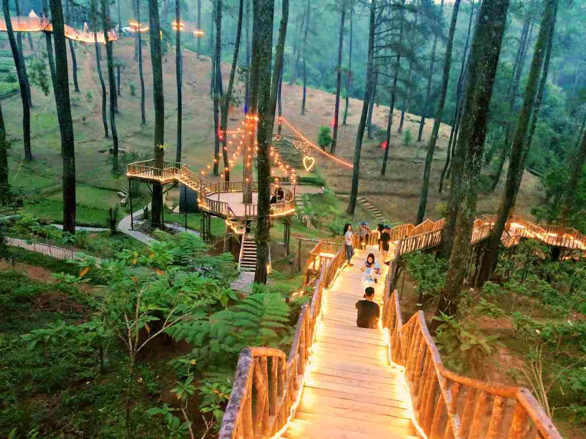 Orchid Forest Cikole - Rekomendasi Kegiatan Seru di Bandung