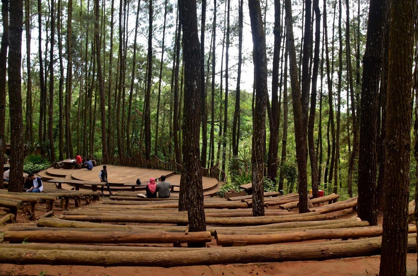 Hutan Pinus Mangunan : Destinasi Wisata yang Instagramable