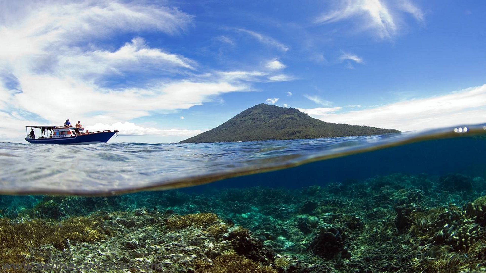 Bunaken gallery - Wisata Bunaken