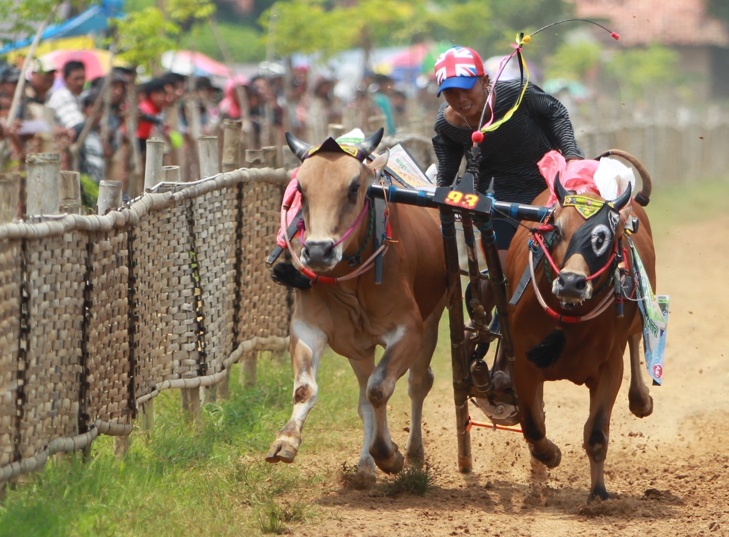 10 Tradisi Unik di Indonesia yang Menjadi Daya Tarik Wisatawan
