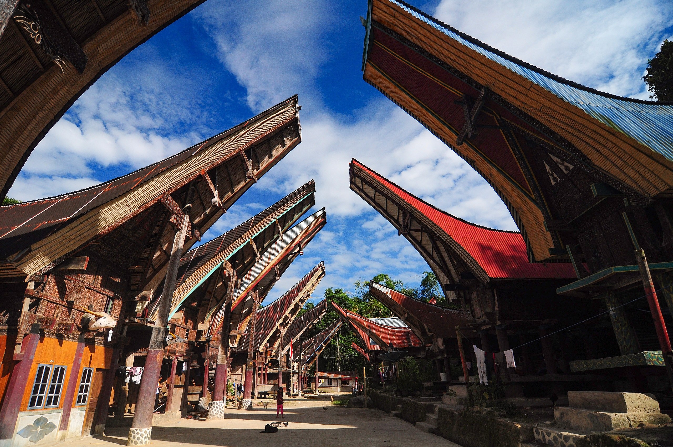 Rumah Adat Toraja: Keunikan, Fungsi dan Lokasi