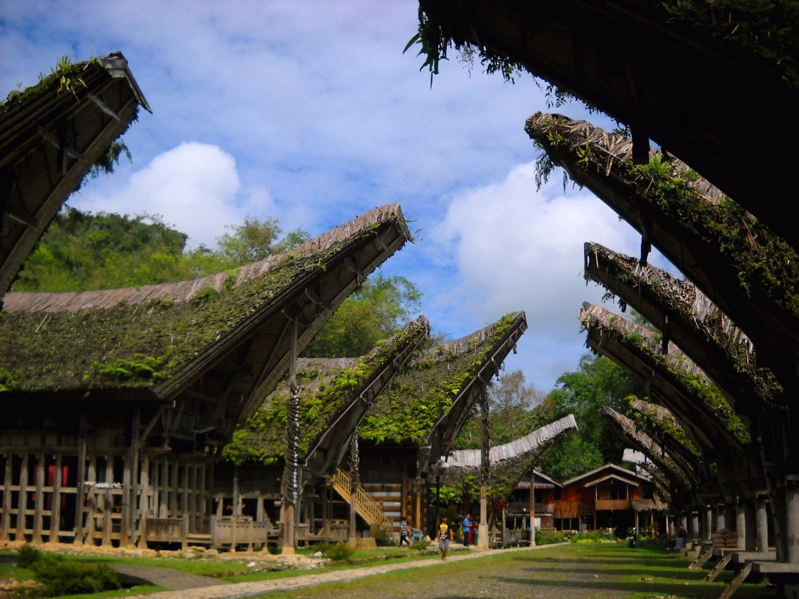 Pesona Wisata Tana Toraja: Eksplorasi Budaya, Alam, dan Kuliner