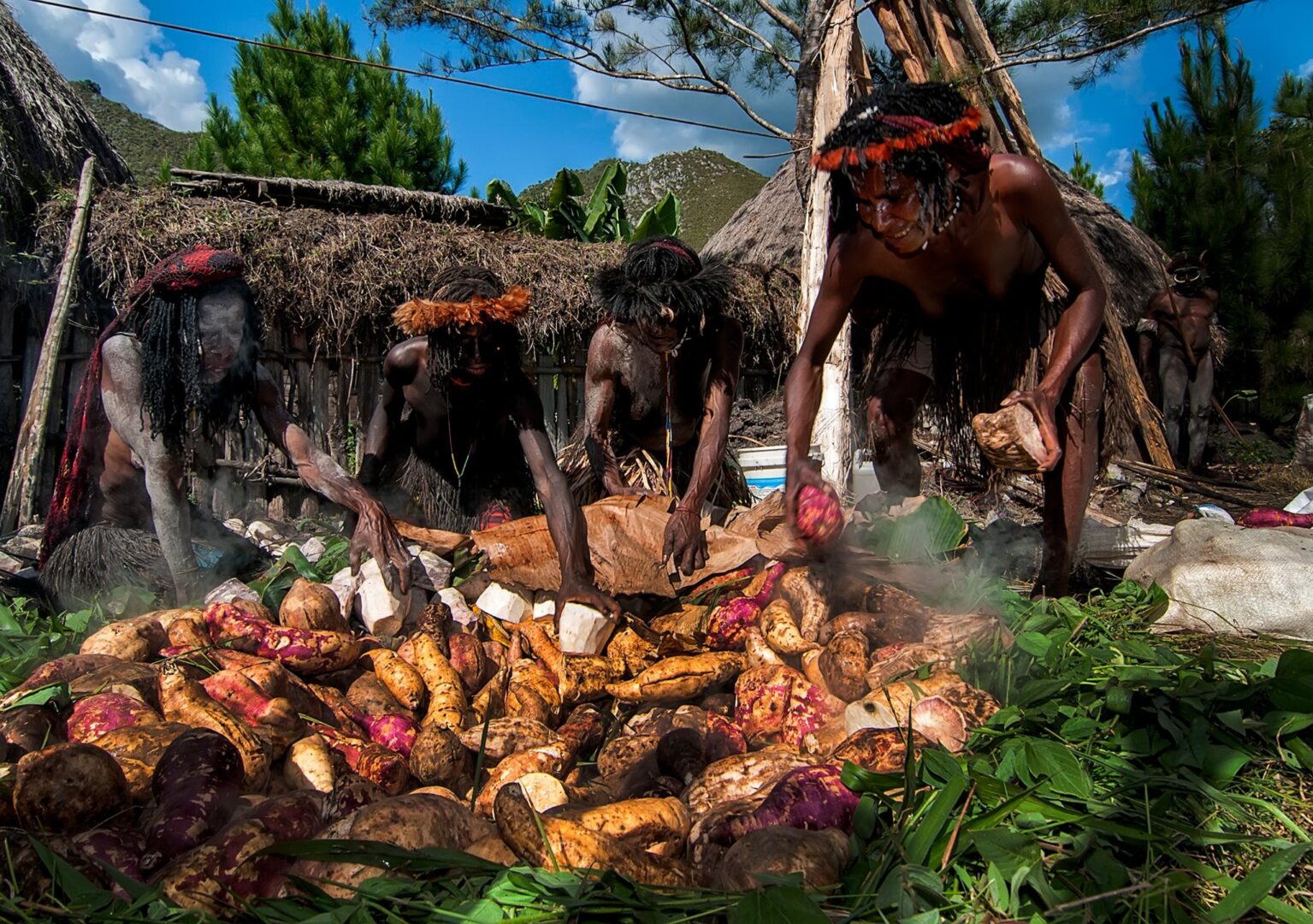 Bakar Batu - Wisata Budaya Papua
