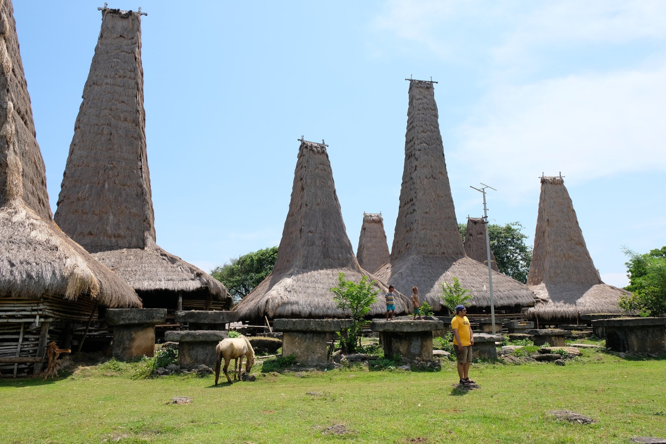 Wisata Pulau Sumba: Pesona Alam dan Budaya yang Manawan