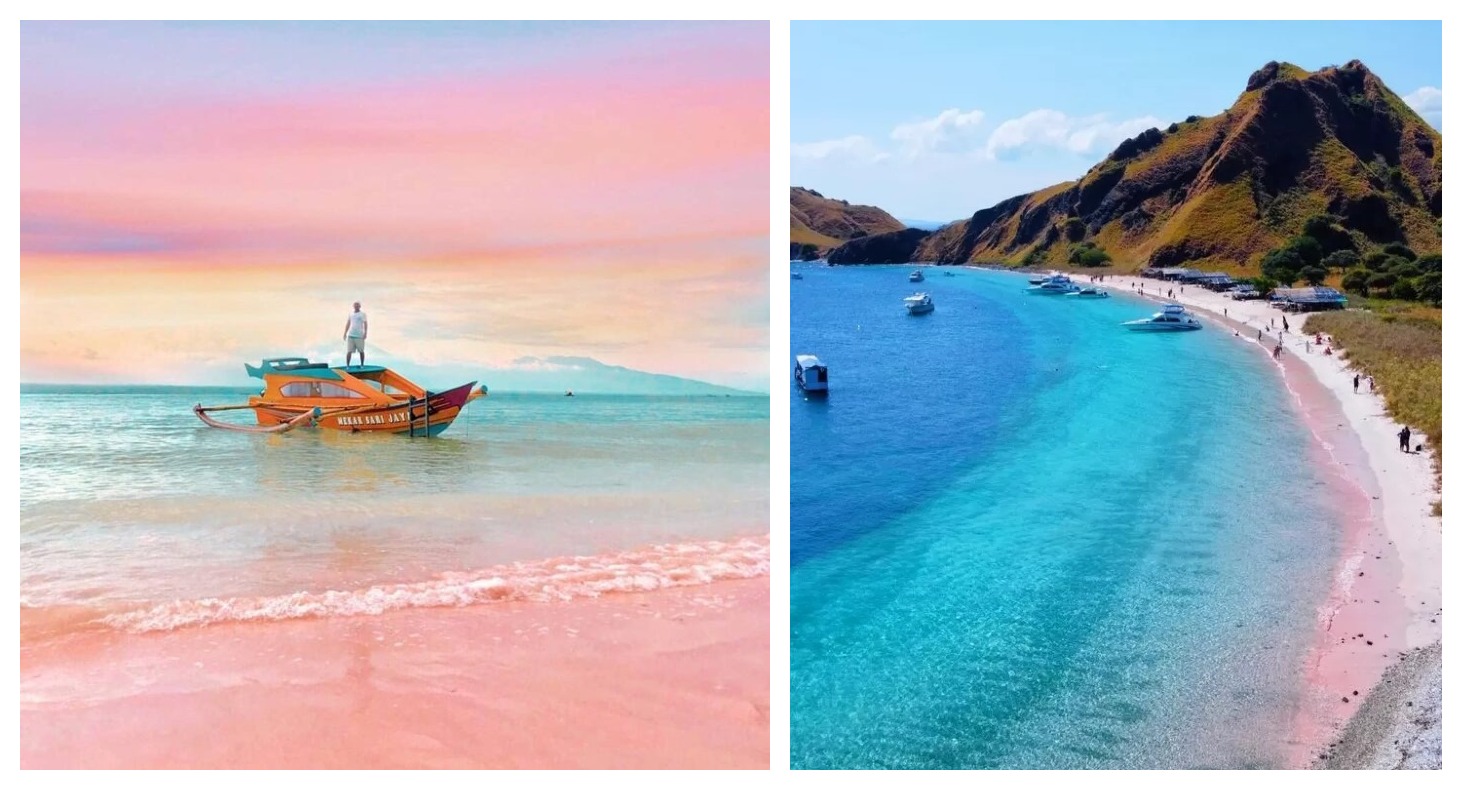 Pantai Pink - Pantai Pink Lombok