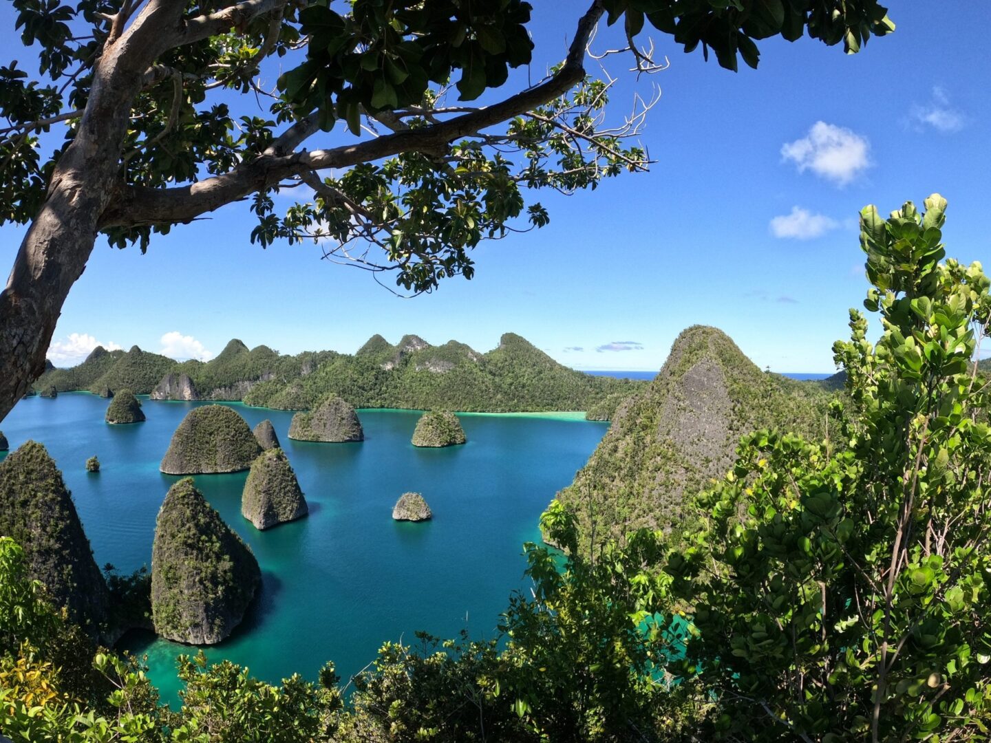 Raja Ampat - Wisata Budaya Papua
