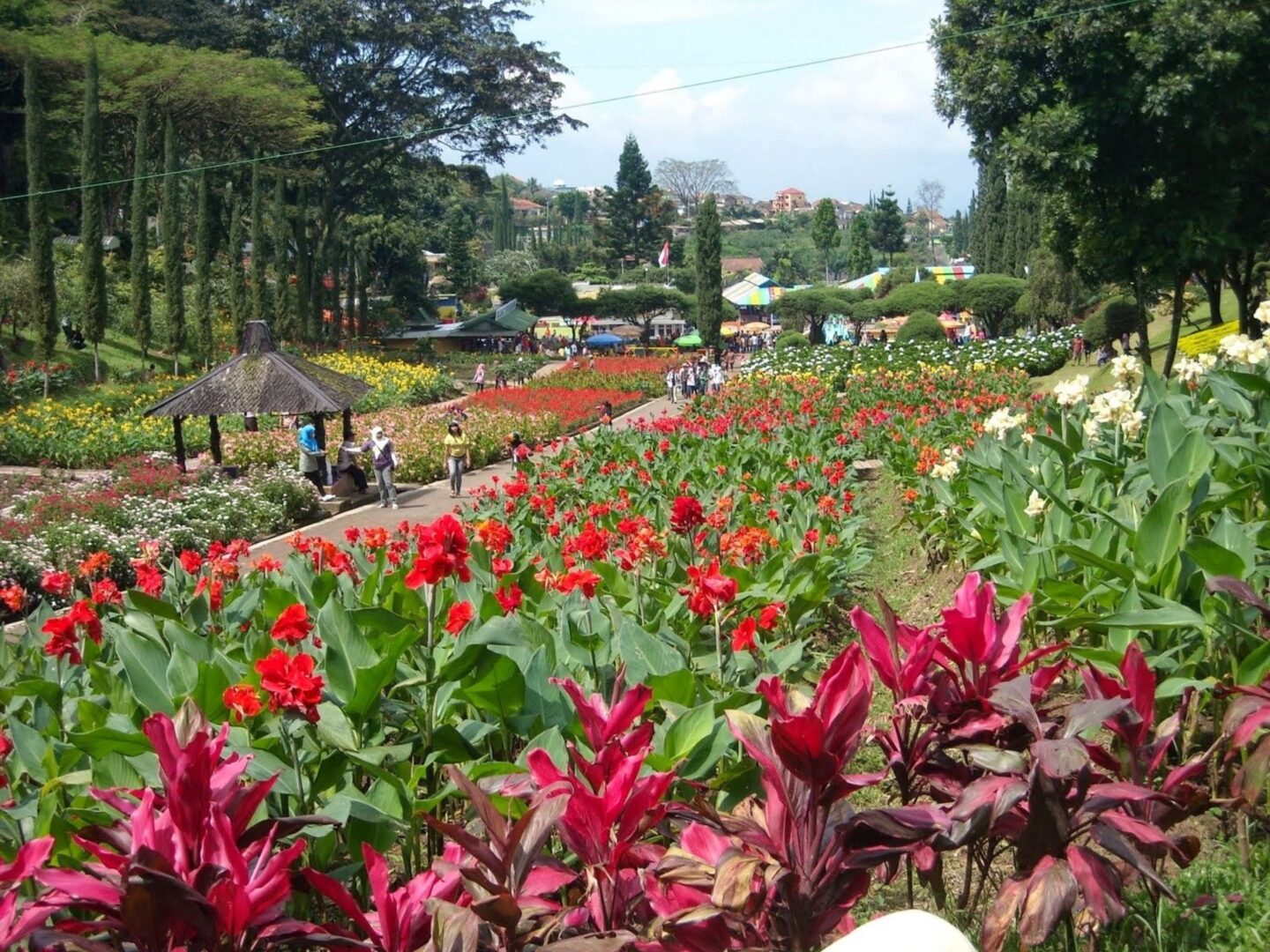 Taman Begonia - Wisata Keluarga Lembang