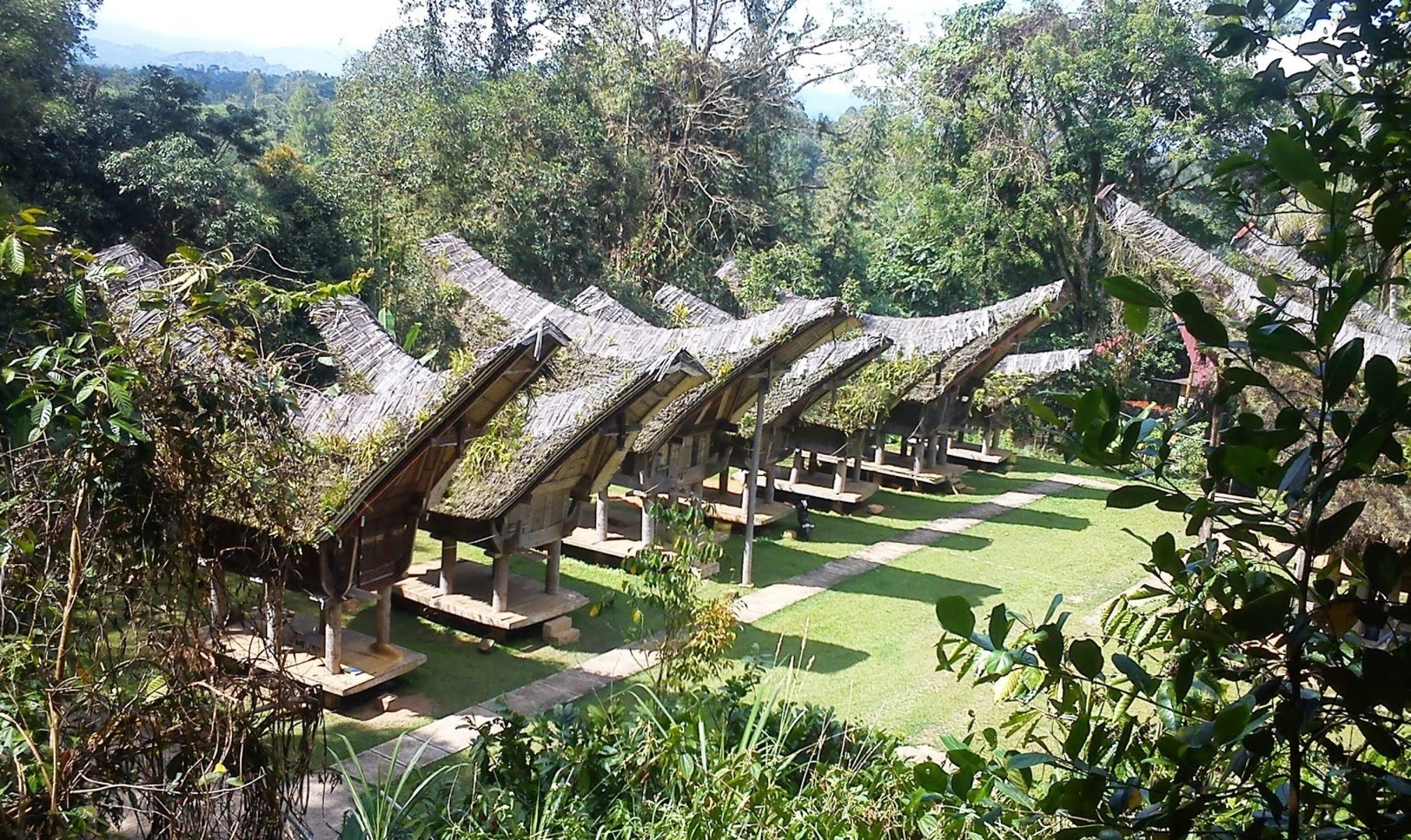 Tana Toraja - Wisata Budaya di Indonesia Timur