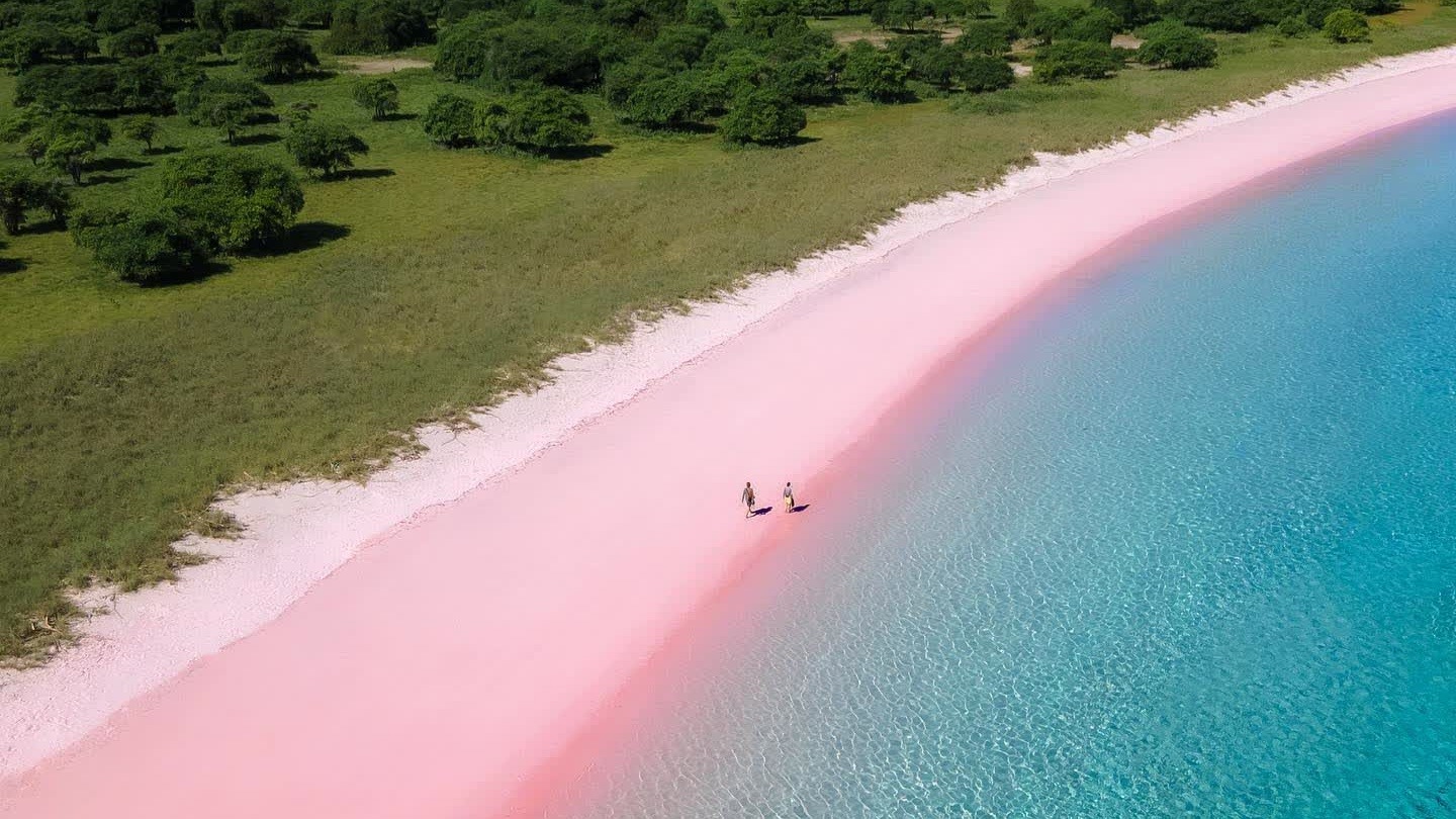Panduan Lengkap Liburan ke Pantai Pink Lombok: Tips & Aktivitas
