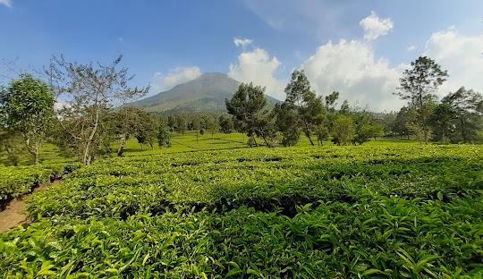Overland Jogja Dieng