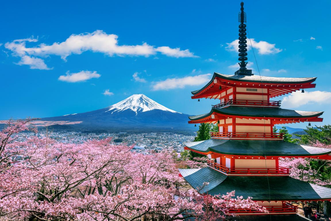 8D6N OHAYO JAPAN