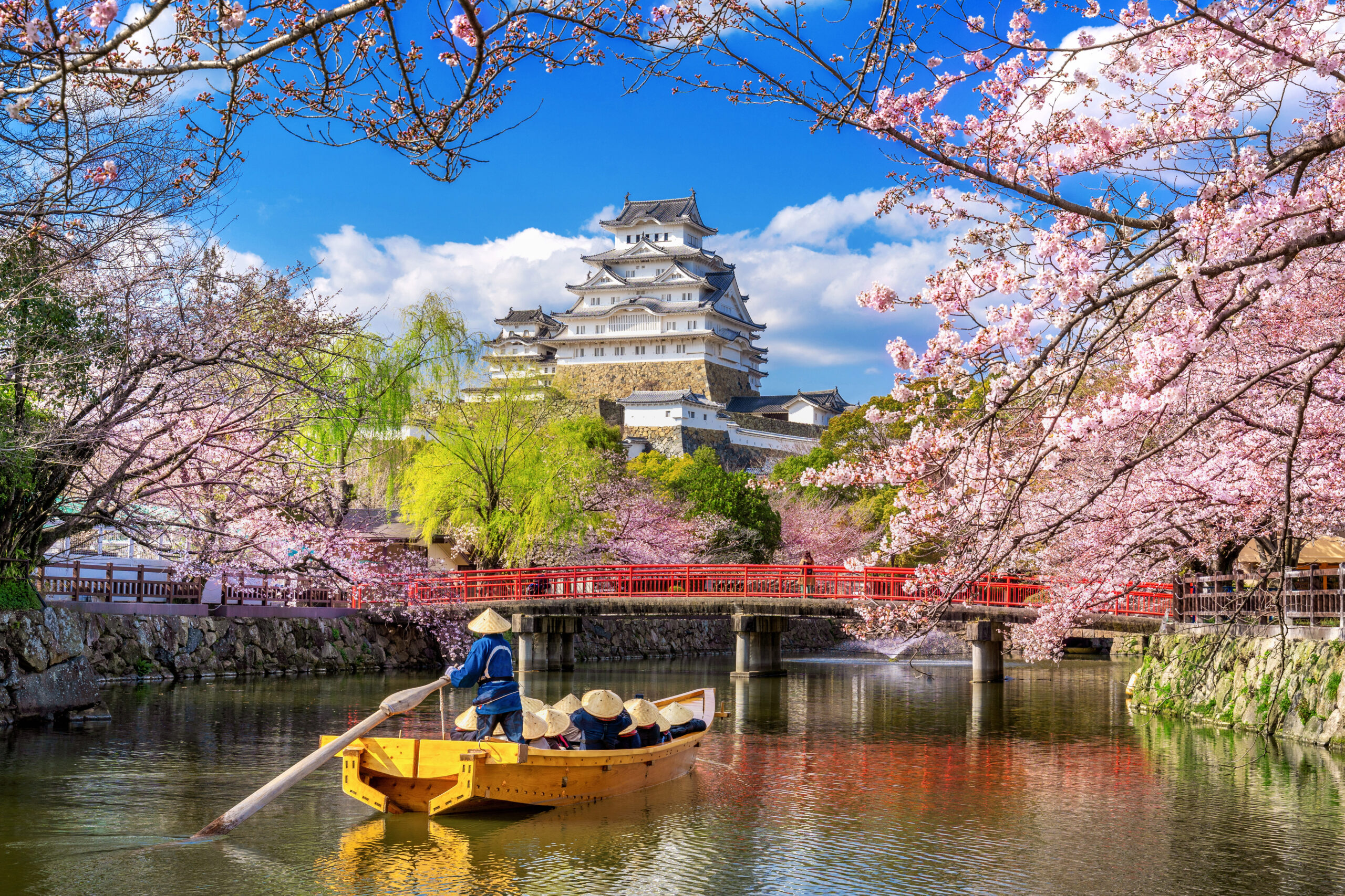 8D6N OHAYO JAPAN