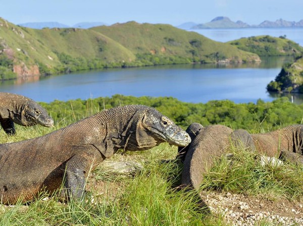 Labuan Bajo 4D3N